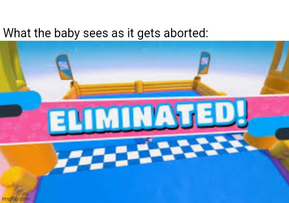 Eliminated! | What the baby sees as it gets aborted: | image tagged in fall guys eliminated | made w/ Imgflip meme maker