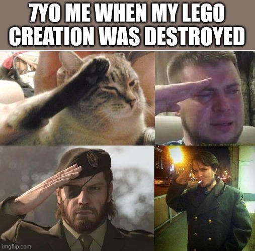 Ozon's Salute | 7YO ME WHEN MY LEGO CREATION WAS DESTROYED | image tagged in ozon's salute | made w/ Imgflip meme maker
