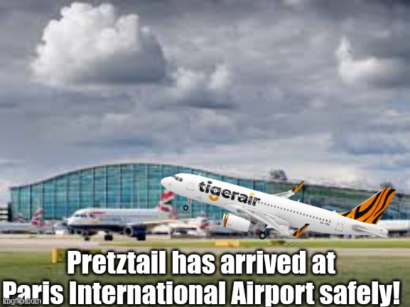 This cannot be called uncanon. Pretztail will settle into his hotel, and on Saturday, he will speak with NATO about what_are_you | Pretztail has arrived at Paris International Airport safely! | image tagged in airport | made w/ Imgflip meme maker
