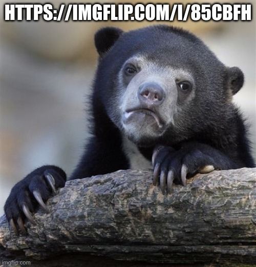 Confession Bear Meme | HTTPS://IMGFLIP.COM/I/85CBFH | image tagged in memes,confession bear | made w/ Imgflip meme maker