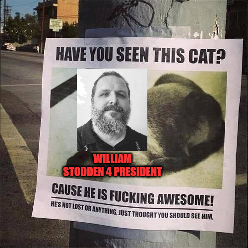 I'd vote for that cat | WILLIAM STODDEN 4 PRESIDENT | image tagged in socialist party usa,spusa,socialist,socialists,vote,william stodden | made w/ Imgflip meme maker