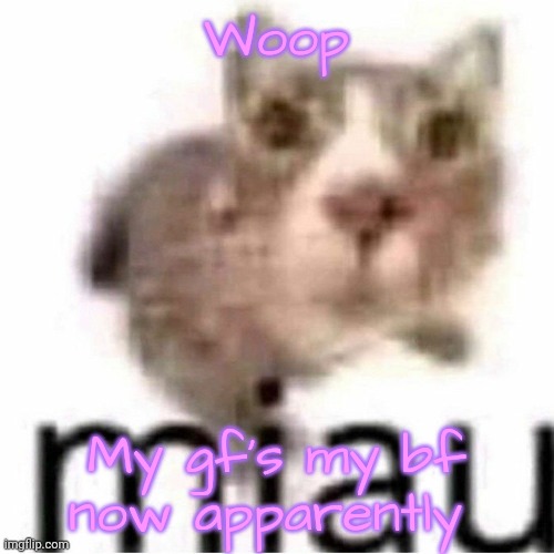 miau | Woop; My gf's my bf now apparently | image tagged in miau | made w/ Imgflip meme maker