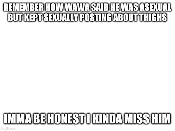 High Quality REMEMBER HOW WAWA SAID HE WAS ASEXUAL BUT KEPT SEXUALLY POSTING Blank Meme Template