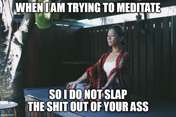 when I am trying to meditate | WHEN I AM TRYING TO MEDITATE; SO I DO NOT SLAP THE SHIT OUT OF YOUR ASS | image tagged in meditation,slap,funny,angry,anger management,peace | made w/ Imgflip meme maker