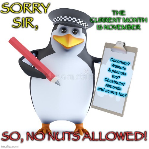 No Nut November Penguin | Coconuts? Walnuts & peanuts too? Chestnuts? Almonds and acorns too? | image tagged in no nut november penguin | made w/ Imgflip meme maker