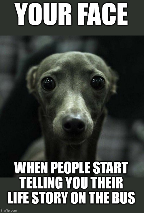 When people start telling you their life story on the bus | YOUR FACE; WHEN PEOPLE START TELLING YOU THEIR LIFE STORY ON THE BUS | image tagged in dog,funny,life,strangers,bus | made w/ Imgflip meme maker