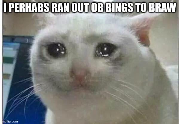 ghjk | I PERHABS RAN OUT OB BINGS TO BRAW | image tagged in crying cat | made w/ Imgflip meme maker