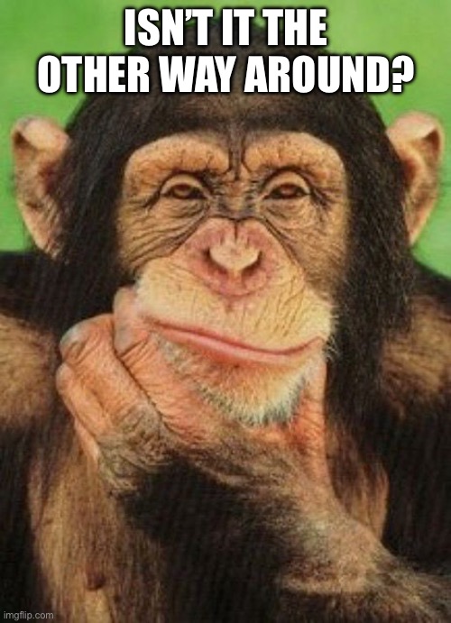 Thinking monkey  | ISN’T IT THE OTHER WAY AROUND? | image tagged in thinking monkey | made w/ Imgflip meme maker