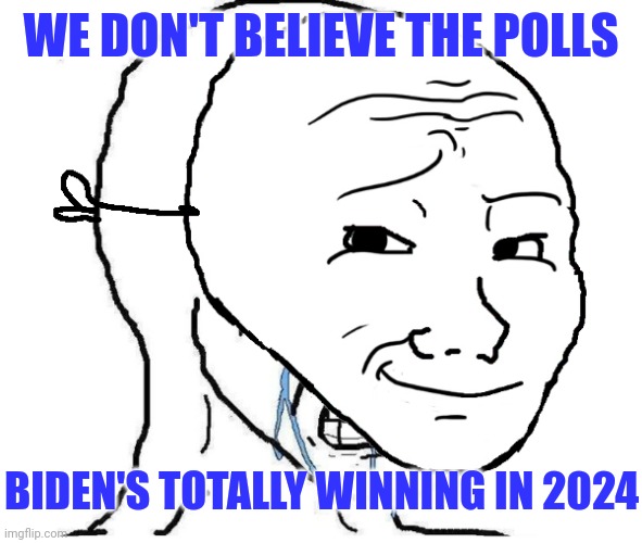 The paid shills and delusional Liberals: | WE DON'T BELIEVE THE POLLS; BIDEN'S TOTALLY WINNING IN 2024 | image tagged in wojak mask,democrats,biden,liberal logic | made w/ Imgflip meme maker