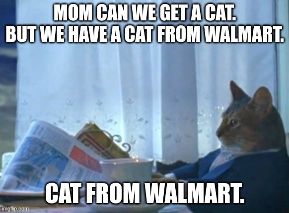 I Should Buy A Boat Cat | MOM CAN WE GET A CAT. BUT WE HAVE A CAT FROM WALMART. CAT FROM WALMART. | image tagged in memes,i should buy a boat cat | made w/ Imgflip meme maker