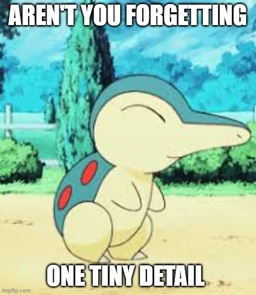 Cyndaquill | AREN'T YOU FORGETTING; ONE TINY DETAIL | image tagged in cyndaquill | made w/ Imgflip meme maker