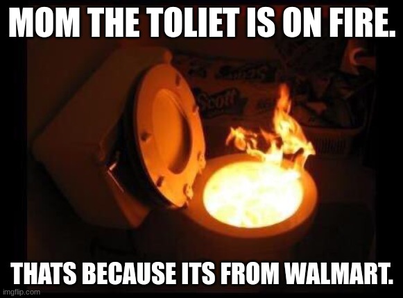 Toilet on fire | MOM THE TOLIET IS ON FIRE. THATS BECAUSE ITS FROM WALMART. | image tagged in toilet on fire | made w/ Imgflip meme maker