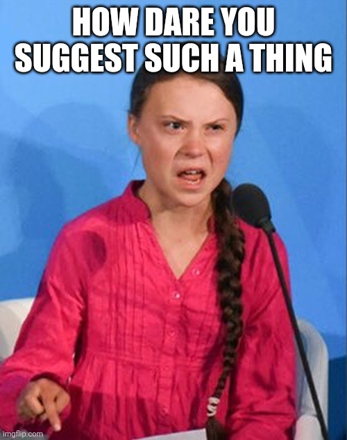 Greta Thunberg how dare you | HOW DARE YOU SUGGEST SUCH A THING | image tagged in greta thunberg how dare you | made w/ Imgflip meme maker