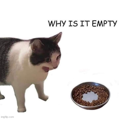 Cataracts | image tagged in memes,cat,open your eyes | made w/ Imgflip meme maker