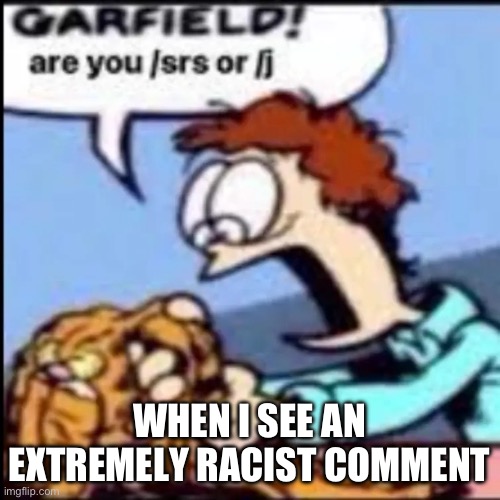 Garfield are you /srs or /j | WHEN I SEE AN EXTREMELY RACIST COMMENT | image tagged in garfield are you /srs or /j | made w/ Imgflip meme maker
