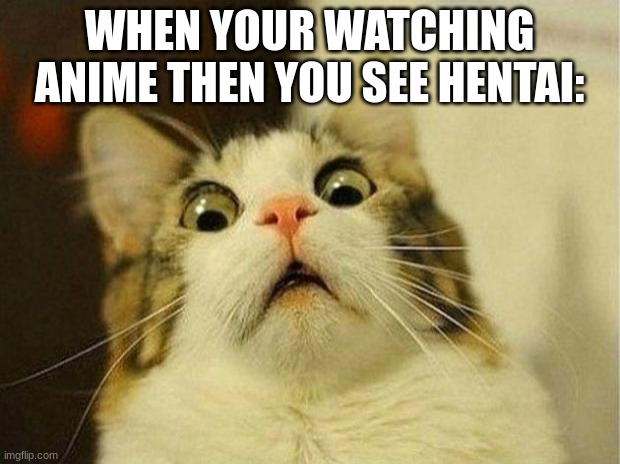 Scared Cat | WHEN YOUR WATCHING ANIME THEN YOU SEE HENTAI: | image tagged in memes,scared cat | made w/ Imgflip meme maker
