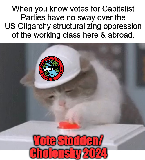 Cat Pushing Button | When you know votes for Capitalist Parties have no sway over the US Oligarchy structuralizing oppression of the working class here & abroad:; Vote Stodden/ Cholensky 2024 | image tagged in cat pushing button,socialist party usa,spusa,socialist,oligarchy | made w/ Imgflip meme maker