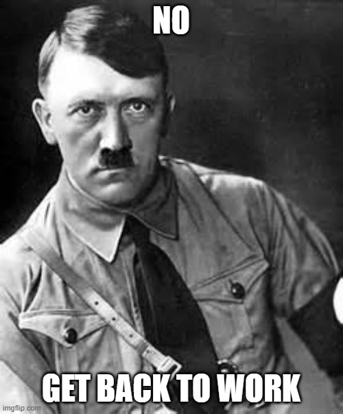 Adolf Hitler | NO GET BACK TO WORK | image tagged in adolf hitler | made w/ Imgflip meme maker