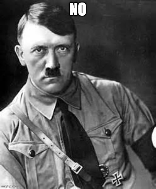 Adolf Hitler | NO | image tagged in adolf hitler | made w/ Imgflip meme maker