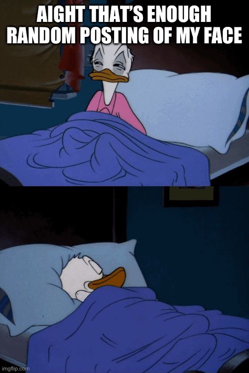 Sleeping Donald Duck | AIGHT THAT’S ENOUGH RANDOM POSTING OF MY FACE | image tagged in sleeping donald duck | made w/ Imgflip meme maker