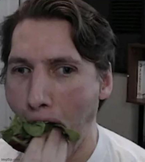 POV: the grass type trainer looked away for 1 second | image tagged in jerma eating lettuce | made w/ Imgflip meme maker