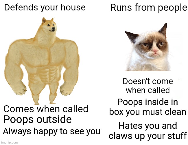 Buff Doge vs. Cheems Meme | Defends your house Runs from people Comes when called Doesn't come when called Poops outside Poops inside in box you must clean Always happy | image tagged in memes,buff doge vs cheems | made w/ Imgflip meme maker