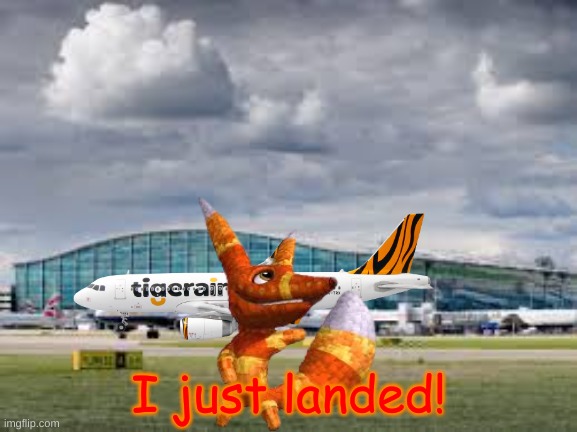 airport | I just landed! | image tagged in airport | made w/ Imgflip meme maker