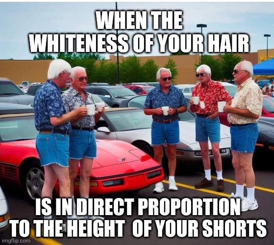The Old White Guy Club | WHEN THE WHITENESS OF YOUR HAIR; IS IN DIRECT PROPORTION TO THE HEIGHT  OF YOUR SHORTS | image tagged in old,white,guys,hair,shorts,ratio | made w/ Imgflip meme maker