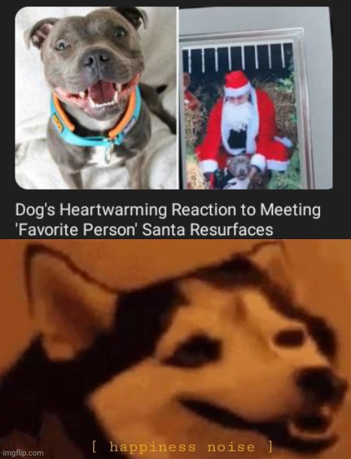 Santa | image tagged in happines noise,memes,dogs,dog,santa,santa claus | made w/ Imgflip meme maker