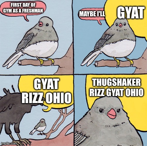 . | GYAT; FIRST DAY OF GYM AS A FRESHMAN; MAYBE I'LL; THUGSHAKER RIZZ GYAT OHIO; GYAT RIZZ OHIO | image tagged in interrupting bird | made w/ Imgflip meme maker