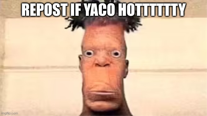 yaco | REPOST IF YACO HOTTTTTTY | image tagged in yaco | made w/ Imgflip meme maker