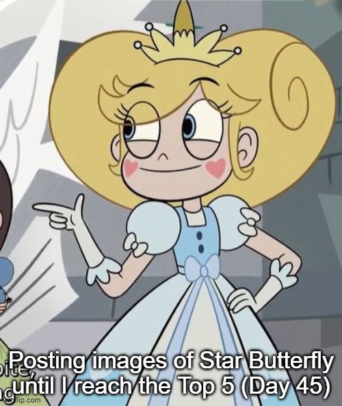 Day 45 | Posting images of Star Butterfly until I reach the Top 5 (Day 45) | image tagged in star butterfly | made w/ Imgflip meme maker