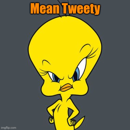 Angry Tweety | Mean Tweety | image tagged in angry tweety | made w/ Imgflip meme maker