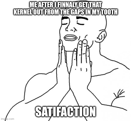 comment true if kernel | ME AFTER I FINNALY GET THAT KERNEL OUT FROM THE GAPS IN MY TOOTH; SATIFACTION | image tagged in feels good man,popcorn,memes,funny | made w/ Imgflip meme maker