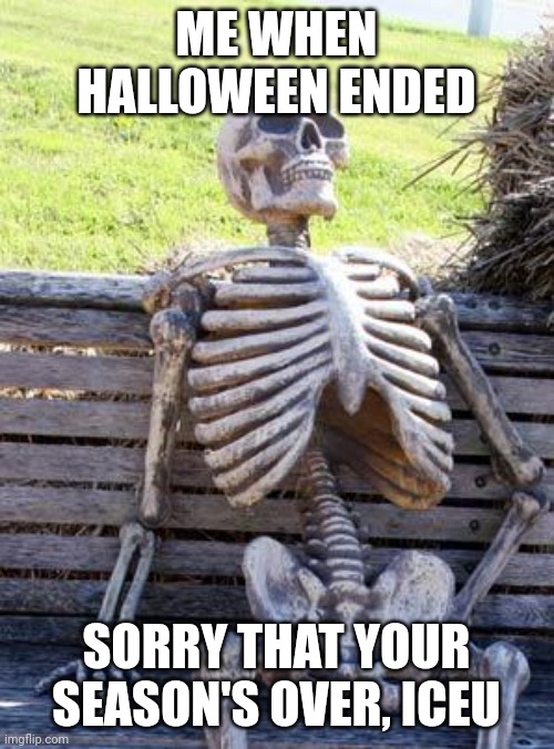 Waiting Skeleton | ME WHEN HALLOWEEN ENDED; SORRY THAT YOUR SEASON'S OVER, ICEU | image tagged in memes,waiting skeleton | made w/ Imgflip meme maker