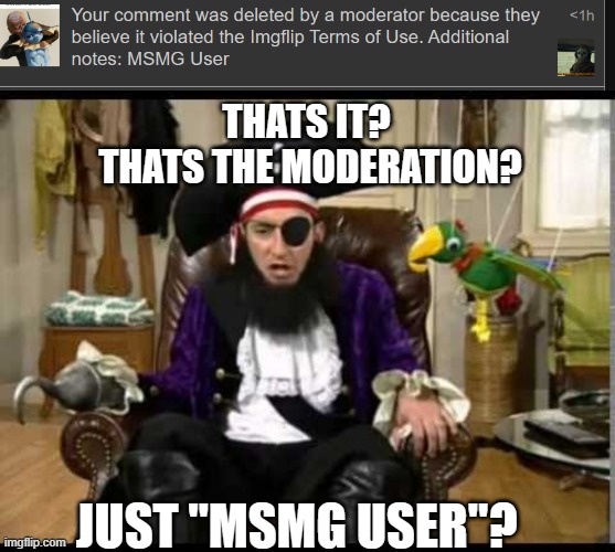 I don't even follow or support MSMG. also what kinda moderation is that?! | THATS IT? 
THATS THE MODERATION? JUST "MSMG USER"? | image tagged in wtf | made w/ Imgflip meme maker