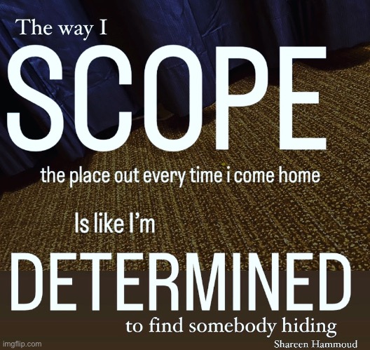 The way I scope the place out every time I come home is like I’m determined to find somebody hiding | image tagged in traumaquotes,paranoidquotes,mentalhealthquotes,determinationquotes,shareenhammoud,sheezybenz | made w/ Imgflip meme maker