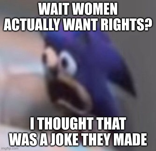 Realization | WAIT WOMEN ACTUALLY WANT RIGHTS? I THOUGHT THAT WAS A JOKE THEY MADE | image tagged in traumatised sonic | made w/ Imgflip meme maker