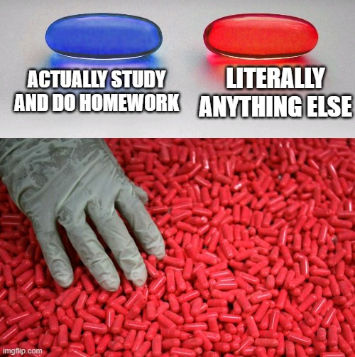 Blue or red pill | ACTUALLY STUDY AND DO HOMEWORK; LITERALLY ANYTHING ELSE | image tagged in blue or red pill | made w/ Imgflip meme maker