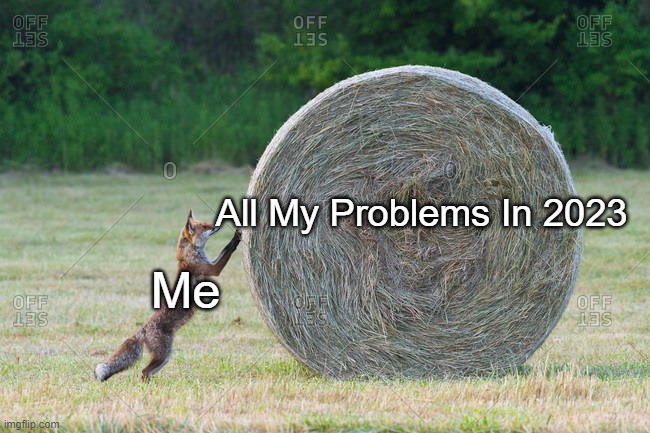 Fox Rolling a Hay Roll | All My Problems In 2023; Me | image tagged in fox rolling a hay roll,pro-fandom,peace,wholesome,furry,fox | made w/ Imgflip meme maker