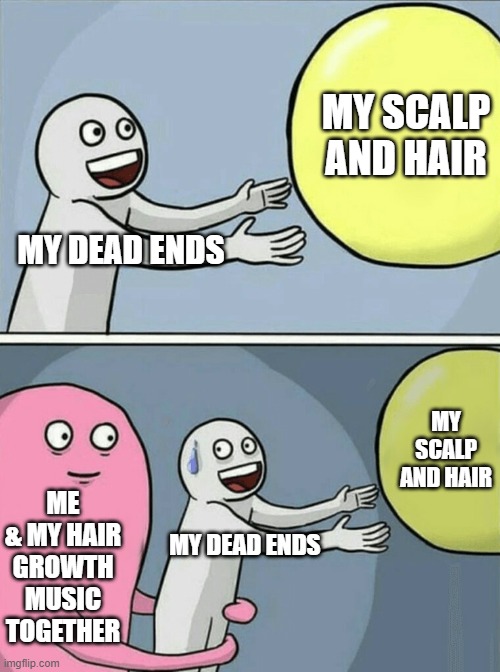 I won't let those dead ends win this time | MY SCALP AND HAIR; MY DEAD ENDS; MY SCALP AND HAIR; ME & MY HAIR GROWTH MUSIC TOGETHER; MY DEAD ENDS | image tagged in memes,running away balloon,hair,relatable,dead ends,long hair | made w/ Imgflip meme maker