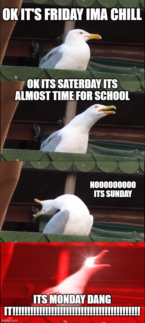 Inhaling Seagull Meme | OK IT'S FRIDAY IMA CHILL; OK ITS SATERDAY ITS ALMOST TIME FOR SCHOOL; NOOOOOOOOO ITS SUNDAY; ITS MONDAY DANG IT!!!!!!!!!!!!!!!!!!!!!!!!!!!!!!!!!!!!!!!!!!! | image tagged in memes,inhaling seagull | made w/ Imgflip meme maker