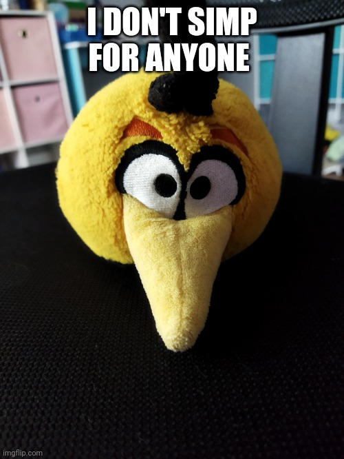 Bubbles | I DON'T SIMP FOR ANYONE | image tagged in bubbles | made w/ Imgflip meme maker