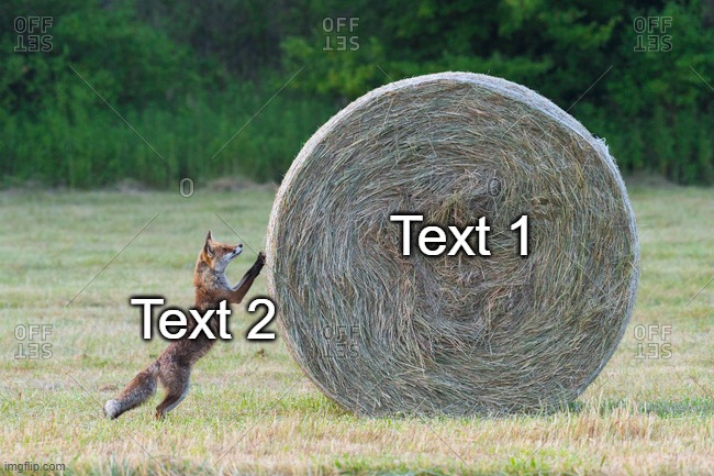 a Wholesome Fox Rolling a Hay Roll (LINK @Comment) | Text 1; Text 2 | image tagged in fox rolling a hay roll,fox,animal,wholesome,memes,templates | made w/ Imgflip meme maker