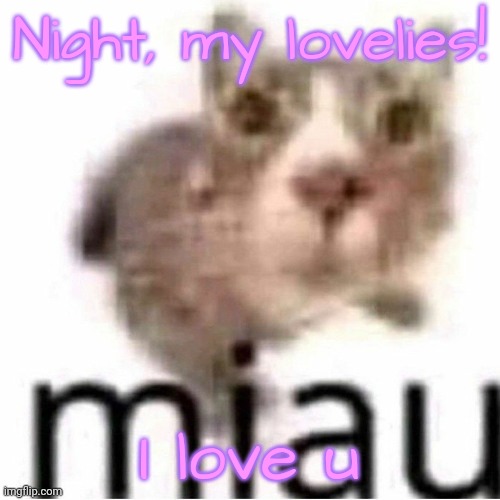 Nah not really LMAO /j | Night, my lovelies! I love u | image tagged in miau | made w/ Imgflip meme maker