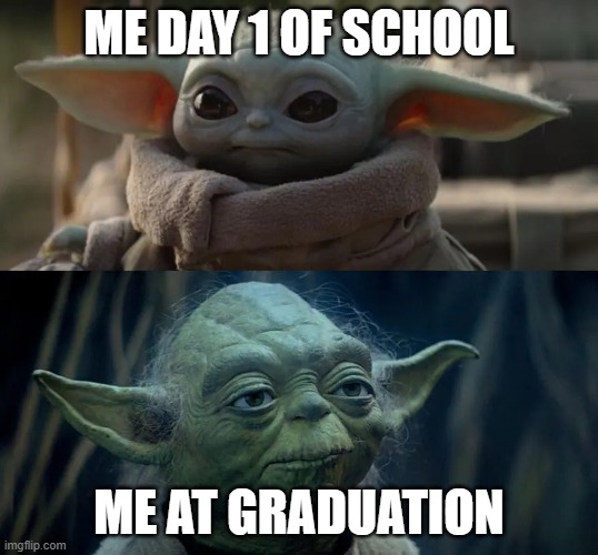 Young vs Old | ME DAY 1 OF SCHOOL; ME AT GRADUATION | image tagged in young vs old | made w/ Imgflip meme maker