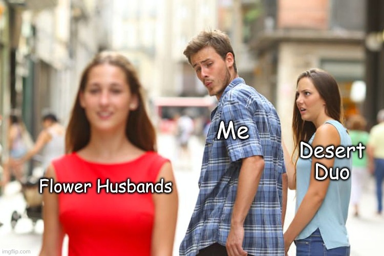 AHHHHHHH <3 I LOVE THEM BOTH SO MUCH!!!!!! | Me; Desert Duo; Flower Husbands | image tagged in memes,distracted boyfriend | made w/ Imgflip meme maker
