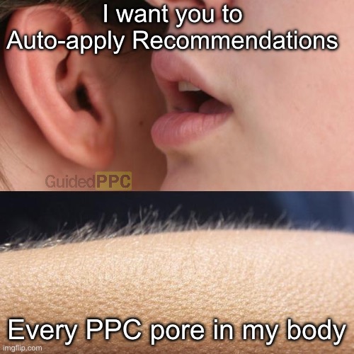 Every PPC pore in my body | I want you to Auto-apply Recommendations; Every PPC pore in my body | image tagged in whisper and goosebumps,google,google ads,advertising,memes | made w/ Imgflip meme maker