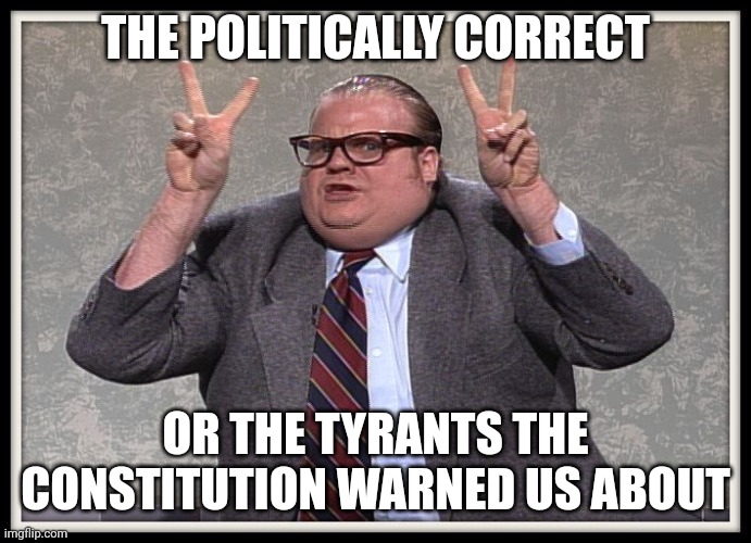 Politically Correct | THE POLITICALLY CORRECT; OR THE TYRANTS THE CONSTITUTION WARNED US ABOUT | image tagged in politically correct | made w/ Imgflip meme maker