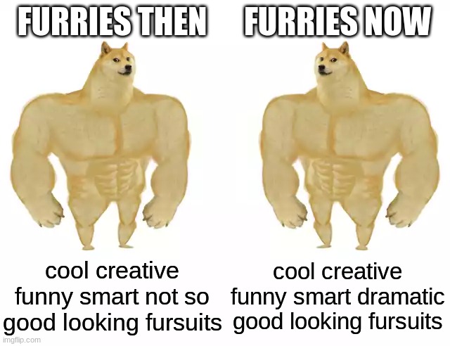 Buff Doge vs Buff Doge | FURRIES THEN FURRIES NOW cool creative funny smart not so good looking fursuits cool creative funny smart dramatic good looking fursuits | image tagged in buff doge vs buff doge | made w/ Imgflip meme maker